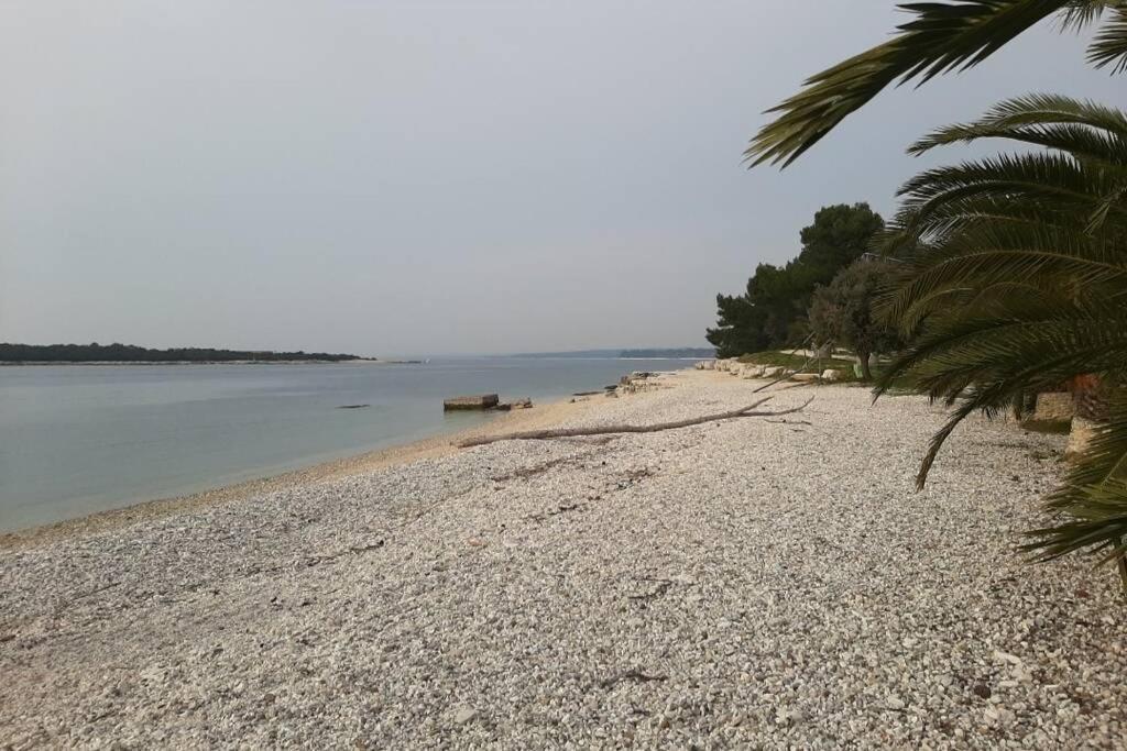 Apartman Near Fazana-500 From The Sea Екстериор снимка